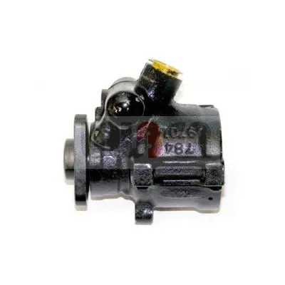Hydraulic Pump, steering (55.5779)