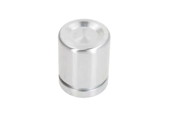 Piston, brake caliper (CQ71384665)