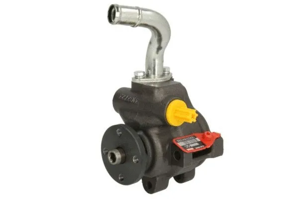 Hydraulic Pump, steering (55.8880)