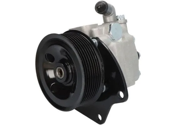 Hydraulic Pump, steering (55.4281)