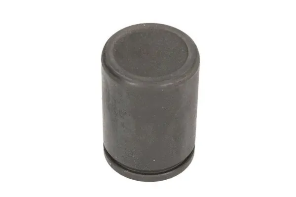 Piston, brake caliper (CQ71385312)