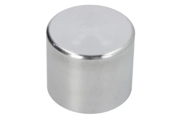 Piston, brake caliper (CQ71413482)