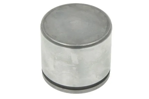 Piston, brake caliper (CQ71575516)