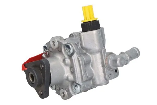 Hydraulic Pump, steering (55.6908)