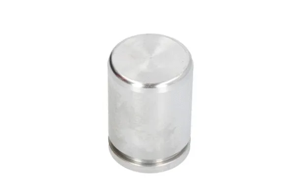 Piston, brake caliper (CQ71344823)