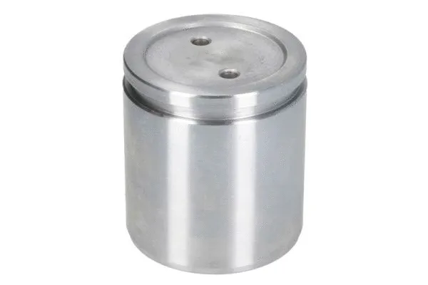 Piston, brake caliper (CQ71485372)