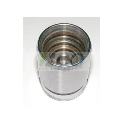 Piston, brake caliper (CQ71334406)