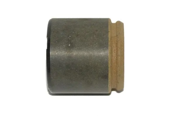 Piston, brake caliper (CQ71484703)