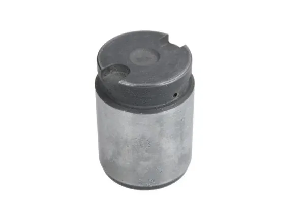 Piston, brake caliper (CQ71344711)