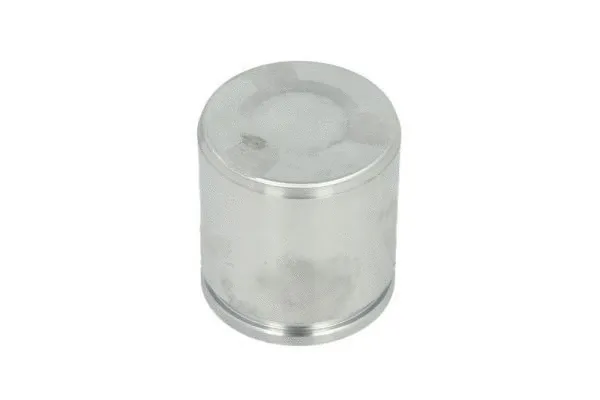 Piston, brake caliper (CQ71485141)