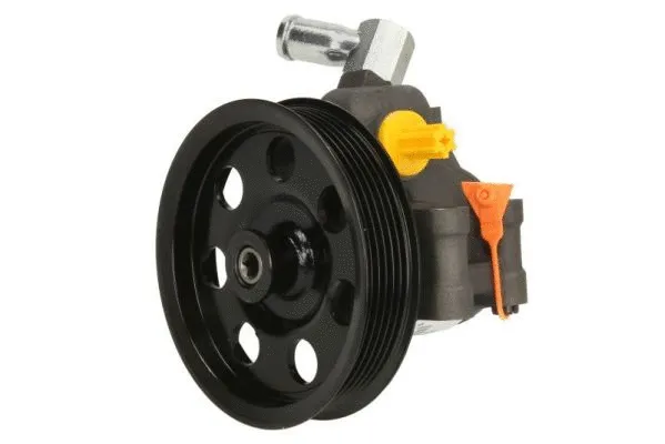 Hydraulic Pump, steering (55.4493)