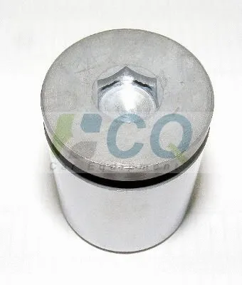 Piston, brake caliper (CQ71364804)