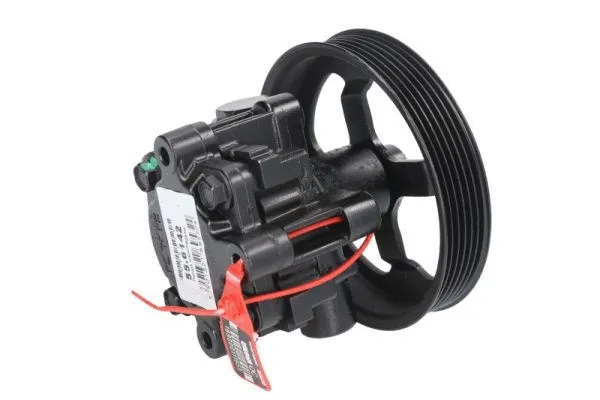 Hydraulic Pump, steering (55.6142)