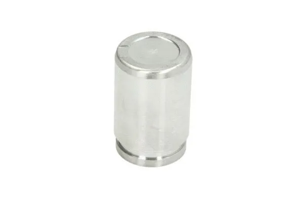 Piston, brake caliper (CQ71304826)