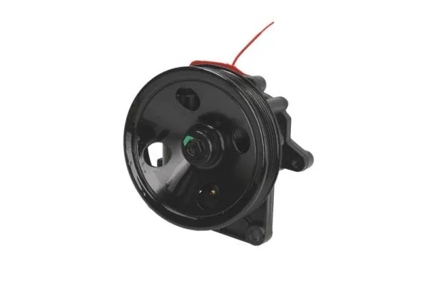 Hydraulic Pump, steering (55.2902)