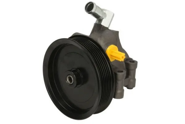 Hydraulic Pump, steering (55.1243)