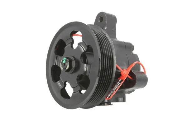 Hydraulic Pump, steering (55.6135)