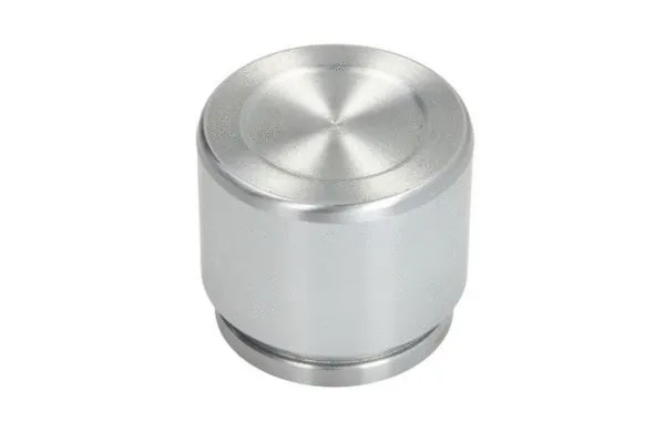 Piston, brake caliper (CQ71514507)