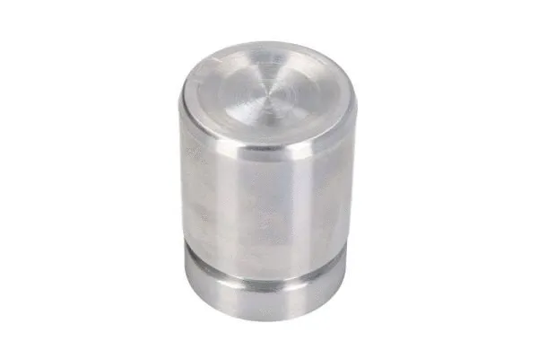 Piston, brake caliper (CQ71364816)