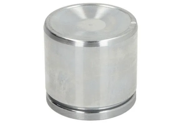 Piston, brake caliper (CQ71605623)