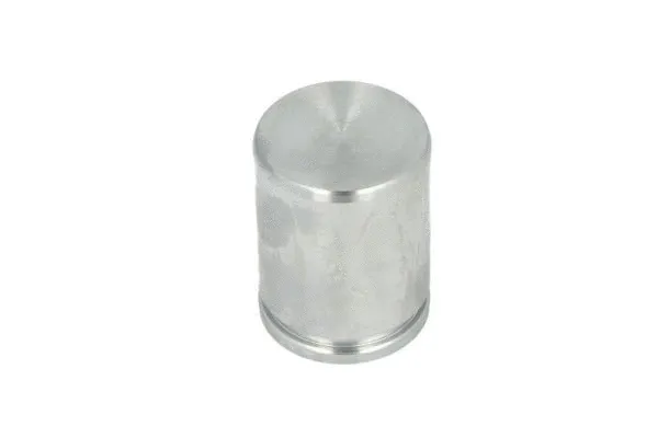 Piston, brake caliper (CQ71405316)