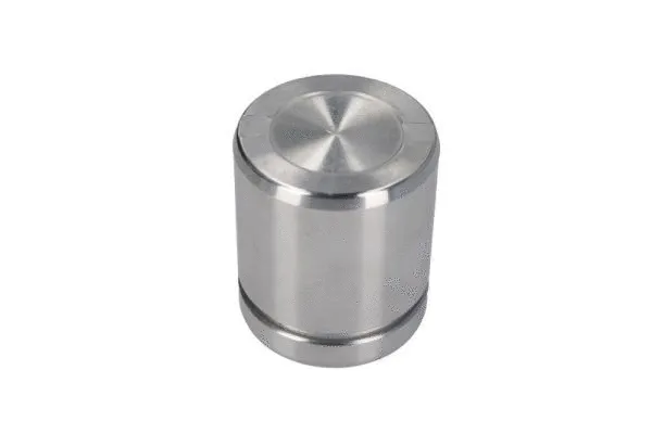 Piston, brake caliper (CQ71485654)