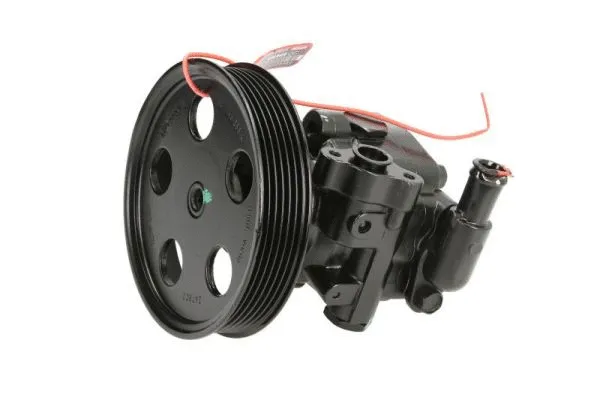 Hydraulic Pump, steering (55.6089)