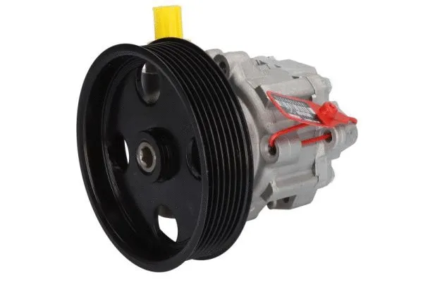 Hydraulic Pump, steering (55.1217)