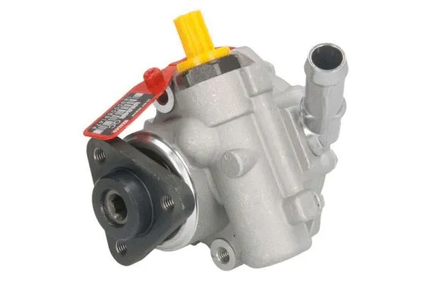 Hydraulic Pump, steering (55.9910)