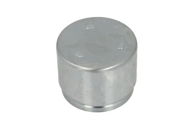 Piston, brake caliper (CQ71604621)