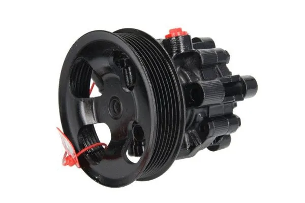 Hydraulic Pump, steering (55.6095)