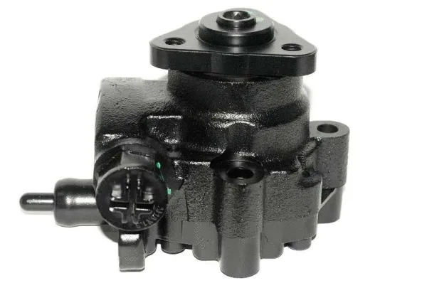 Hydraulic Pump, steering (55.9690)