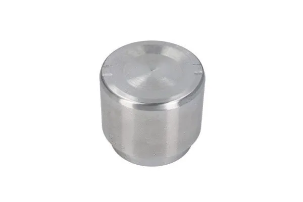 Piston, brake caliper (CQ71544720)