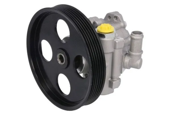 Hydraulic Pump, steering (55.0479)