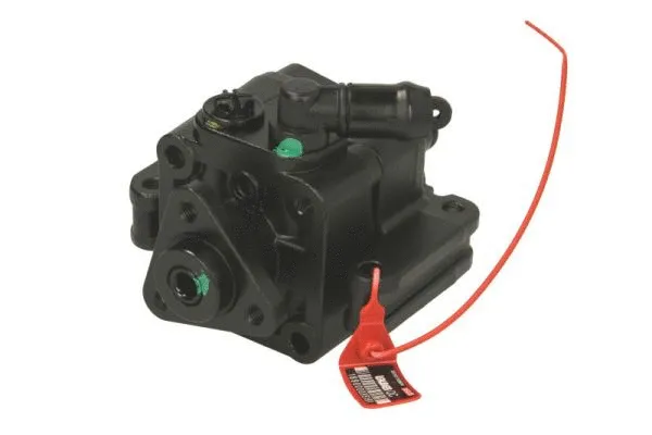 Hydraulic Pump, steering (55.9689)