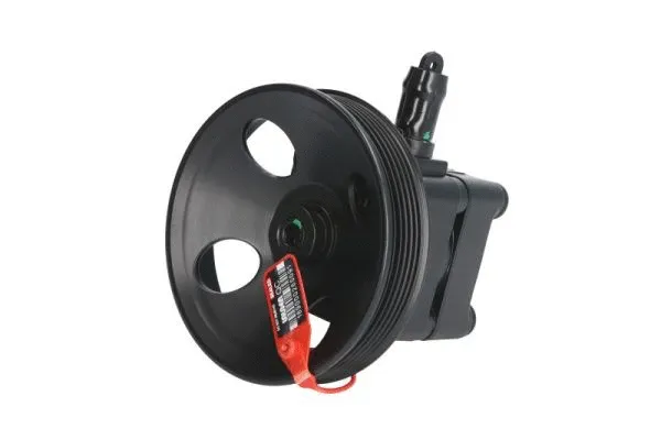 Hydraulic Pump, steering (55.9683)