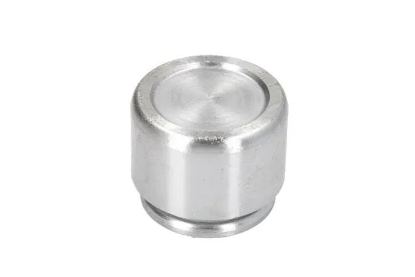 Piston, brake caliper (CQ71352905)