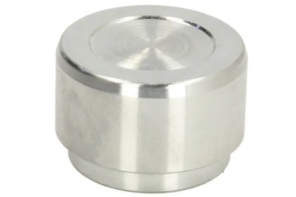 Piston, brake caliper (CQ71432907)