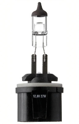 Bulb, front fog light (586013)