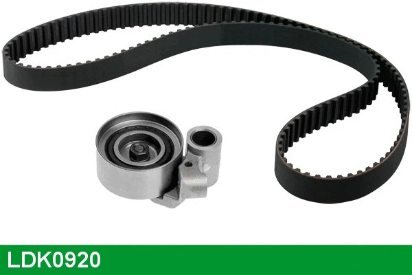 Timing Belt Kit (LDK0920)