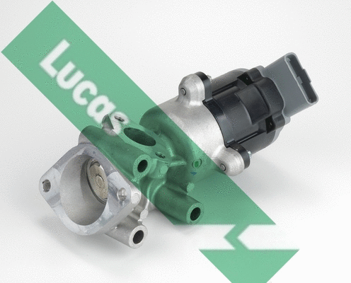 EGR Valve (FDR214)