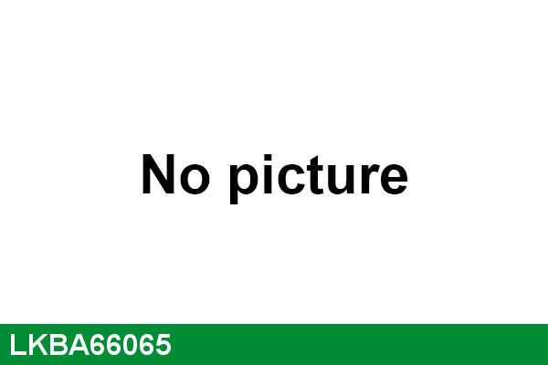 Wheel Bearing Kit (LKBA66065)