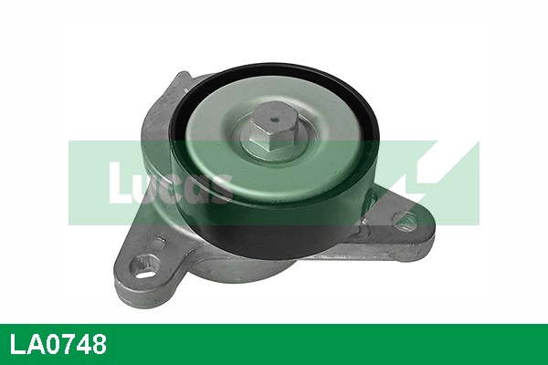 Tensioner Lever, V-ribbed belt (LA0748)