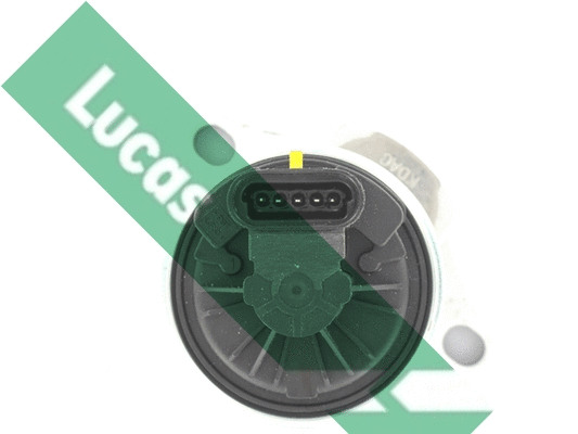 EGR Valve