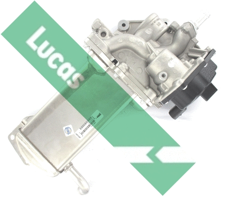 EGR Valve (FDR556)