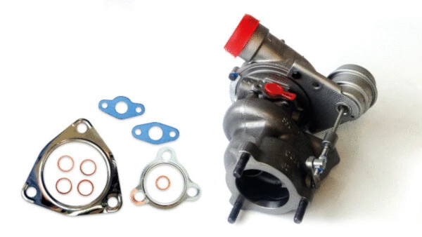 Charger, charging (supercharged/turbocharged) (LTRPA53039880029)