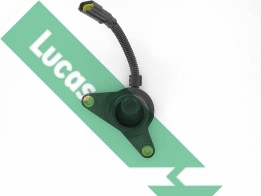 Sensor, camshaft position (SEB1619)