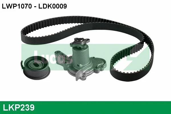 Water Pump & Timing Belt Kit (LKP239)