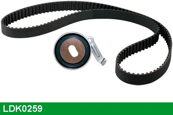 Timing Belt Kit (LDK0259)