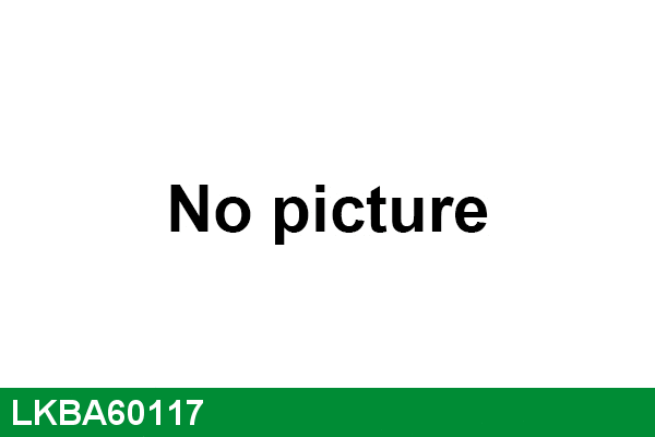 Wheel Bearing Kit (LKBA60117)